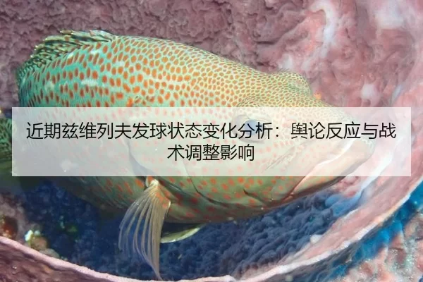 近期兹维列夫发球状态变化分析：舆论反应与战术调整影响