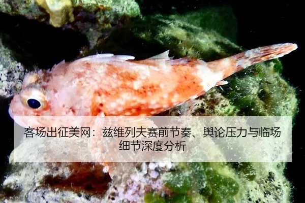 ke-chang-chu-zheng-mei-wang-zi-wei-lie-fu-sai-qian-jie-zou-yu-lun-ya-li-yu-lin-chang-xi-jie-shen-du-fen-xi-2-619.jpg