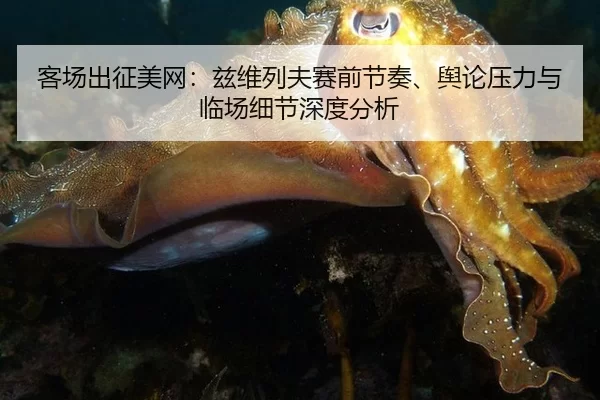 客场出征美网：兹维列夫赛前节奏、舆论压力与临场细节深度分析